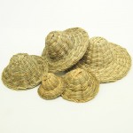 ��ǰ�̹���